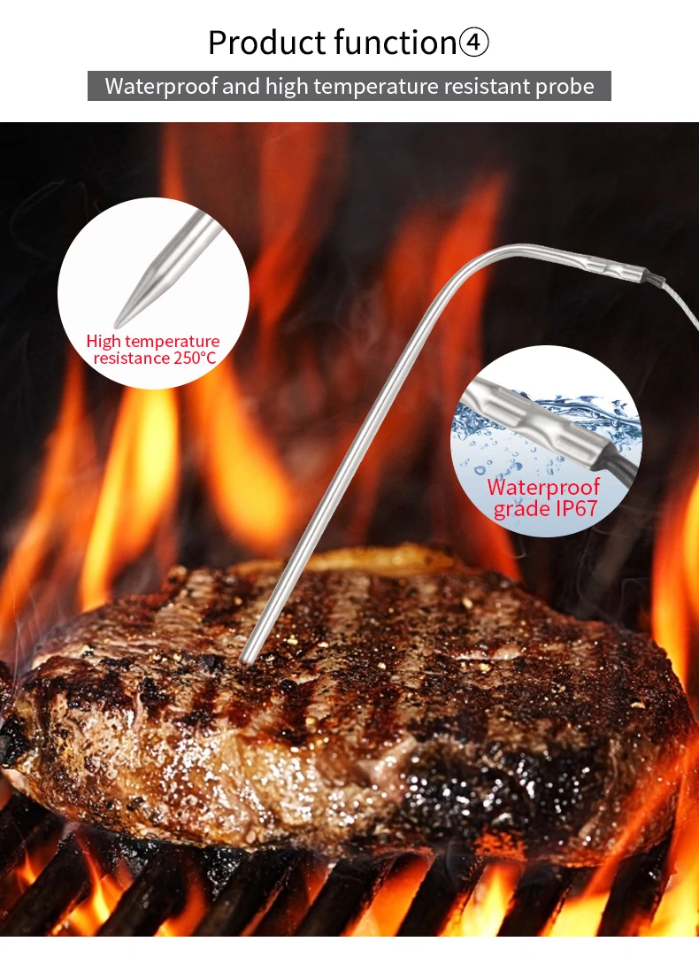 TS-6601-2 Dual-needle Touchscreen Food Thermometer Kitchen Baking Meat Barbecue Thermometer